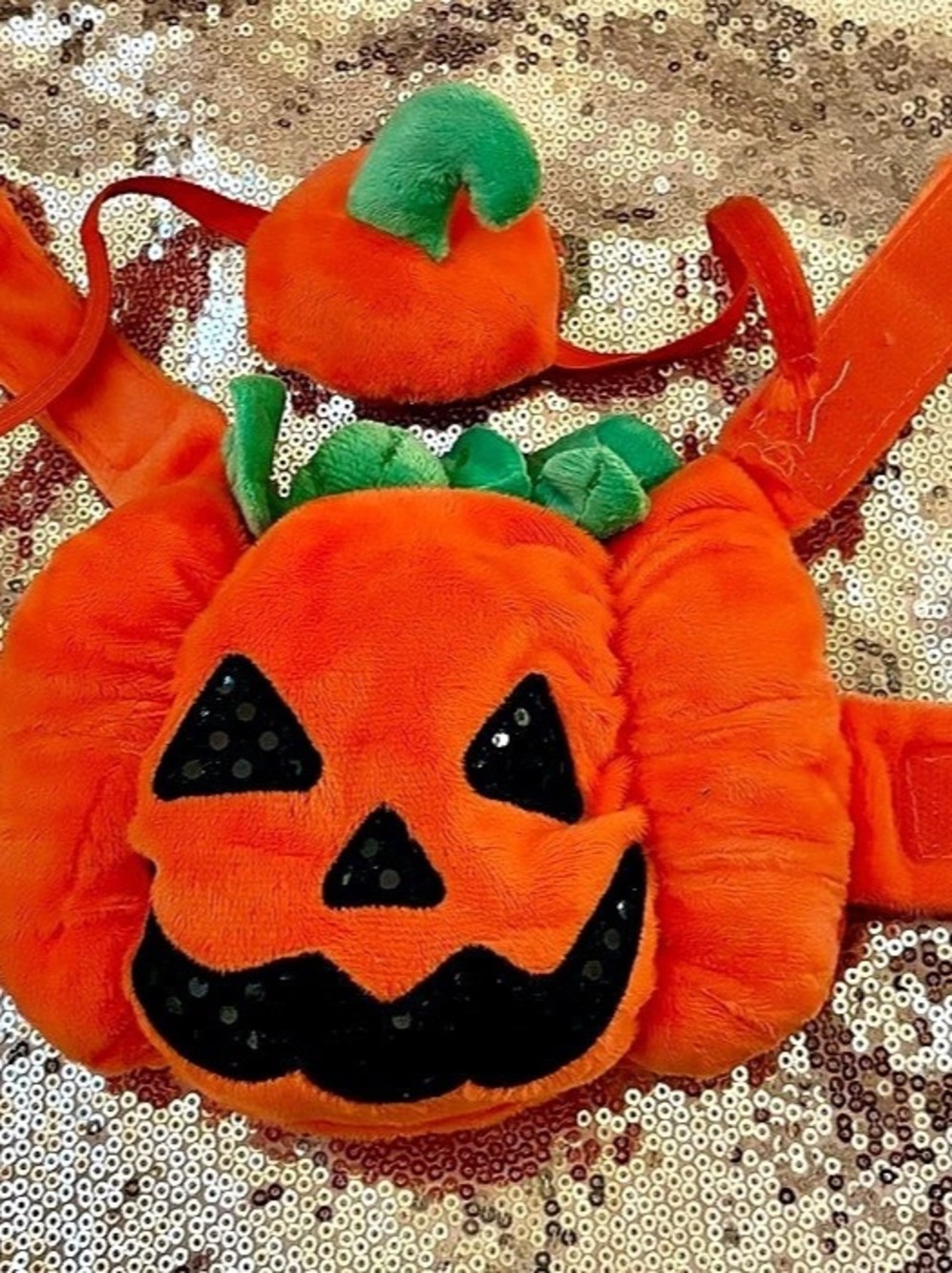 Guinea Pig Pumpkin costume 8